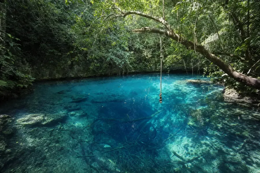 A freshwater blue hole in limestone, overhung by rainforest (AI-generated image)