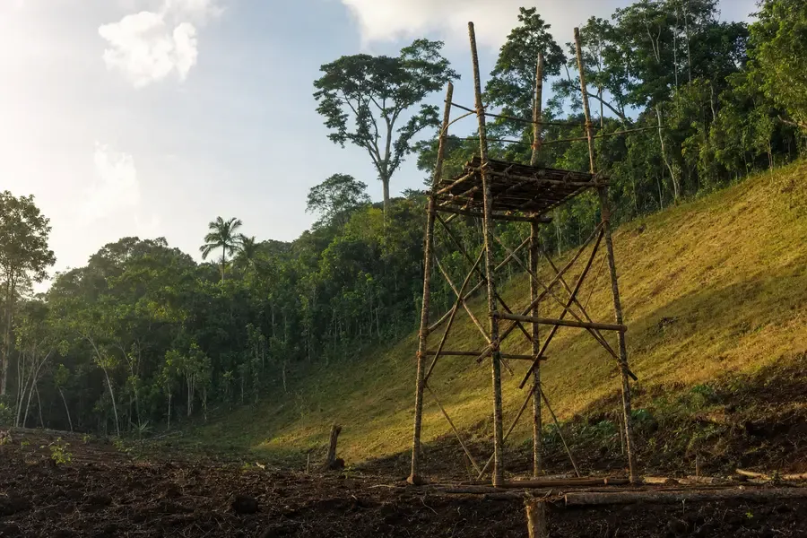 A lashed timber tower built against a cleared hillside above tilled earth (AI-generated image)